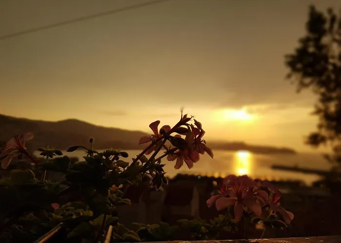Sea La Vie* Kawala